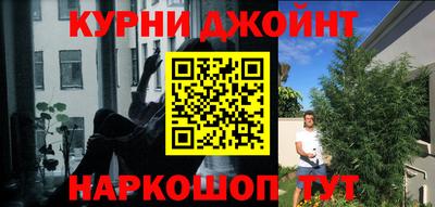 прущие грибы Мариинск