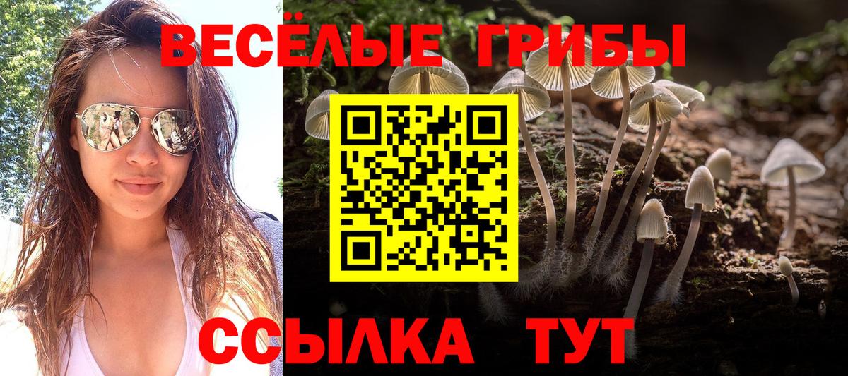 Тула  Псилоцибиновые грибы ЛСД  Вход с VPN 