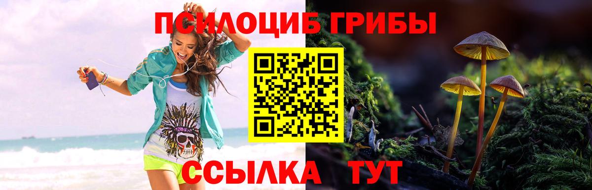 Псилоцибиновые грибы мицелий Тула